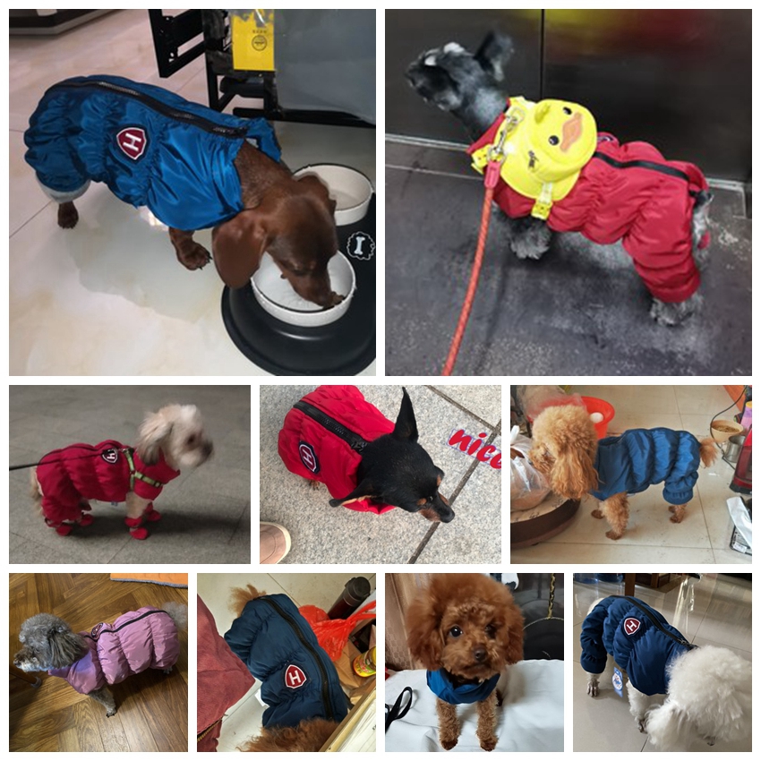 Tuta impermeabile per cani uni - Winter Clothing For Babies recensione e prezzo